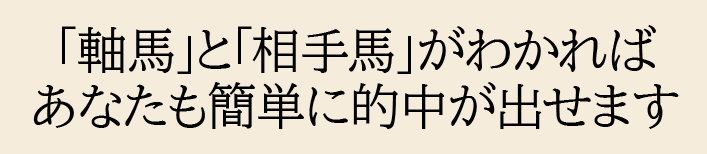 軸馬と相手馬が分かれば簡単に的中が出せます！