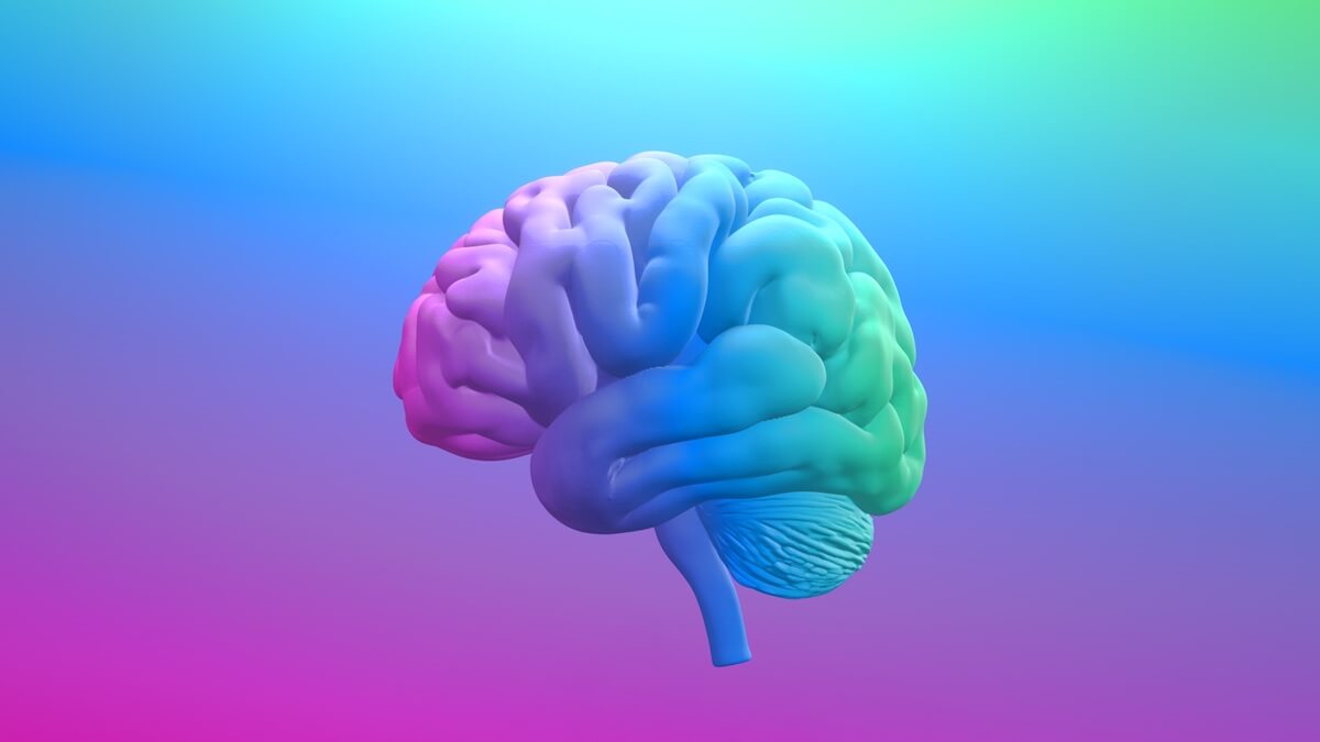 運は脳で変えられる！強運体質を作る脳科学的アプローチ