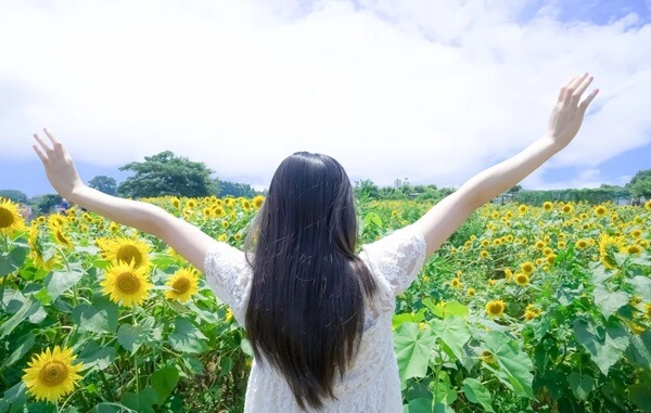 ひまわりと喜ぶ女性