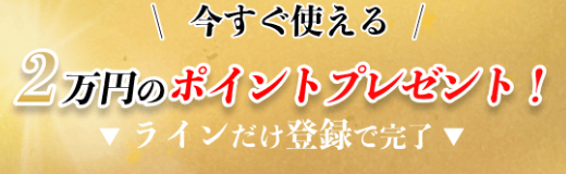 今すぐ使える2万円分のポイントプレゼント！