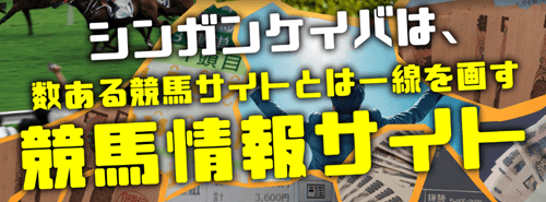 シンガンケイバは数ある競馬サイトとは一線を画す競馬情報サイト