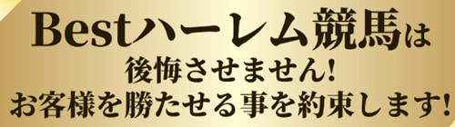 Bestハーレム競馬は後悔させません!